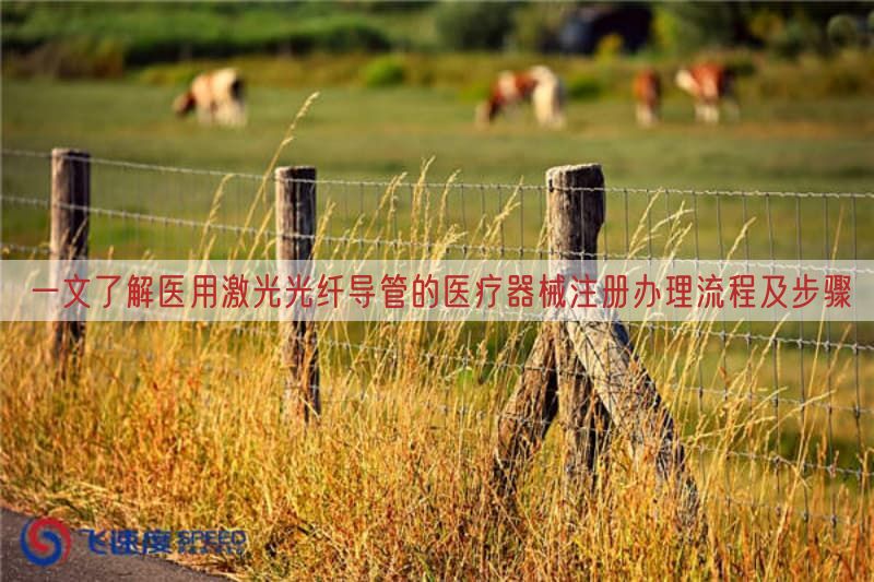一文了解医用激光光纤导管的医疗器械注册办理流程及步骤