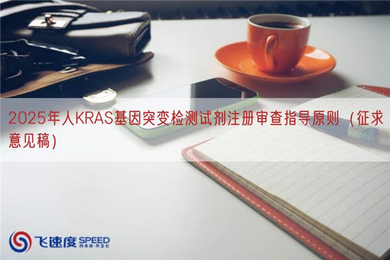 2025年人KRAS基因突变检测试剂注册审查指导原则（征求意见稿）