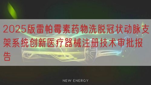 2025版雷帕霉素药物洗脱冠状动脉支架系统创新医疗器械注册技术审批报告
