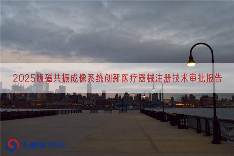 2025版磁共振成像系统创新医疗器械注册技术审批报告