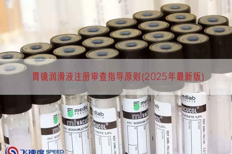 胃镜润滑液注册审查指导原则(2025年最新版)