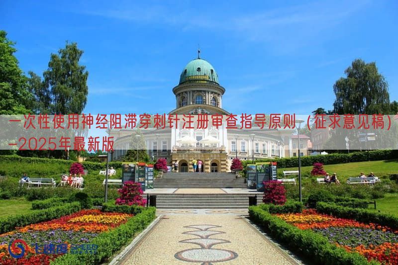 一次性使用神经阻滞穿刺针注册审查指导原则（征求意见稿）-2025年最新版