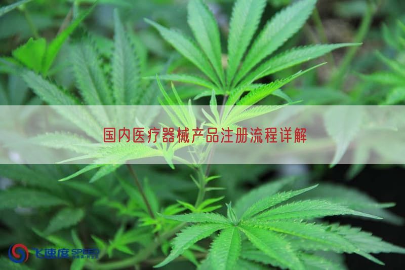 国内医疗器械产品注册流程详解
