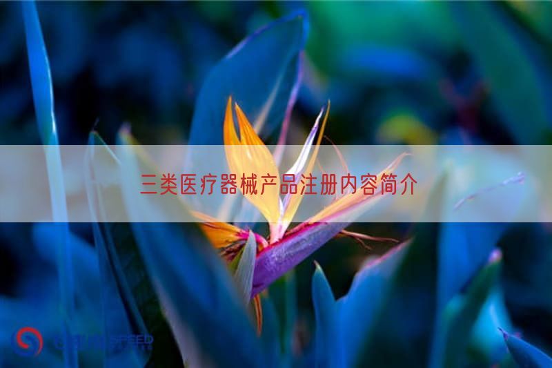 三类医疗器械产品注册内容简介