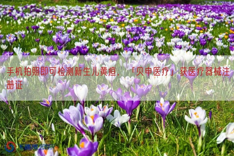 手机拍照即可检测新生儿黄疸，「贝申医疗」获医疗器械注册证