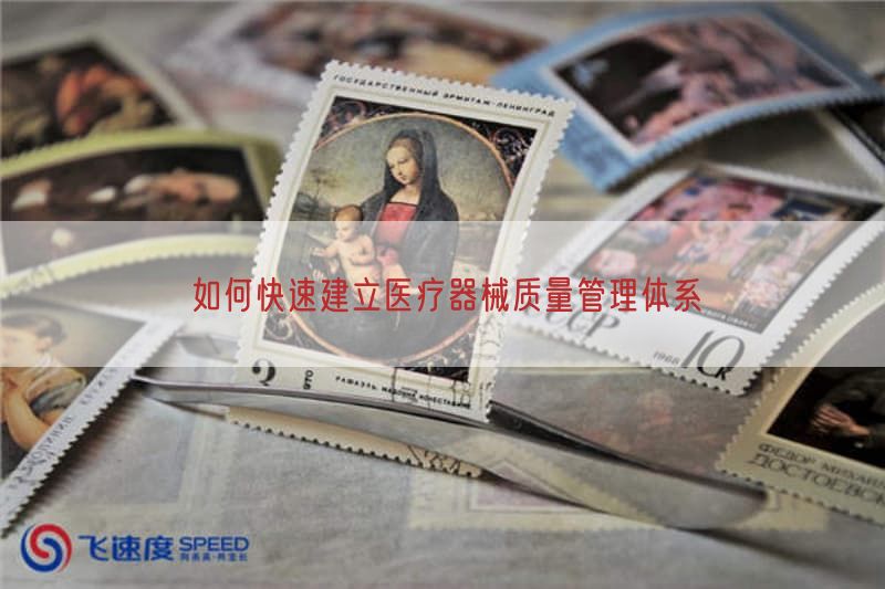如何快速形成医疗器械质量管理体系