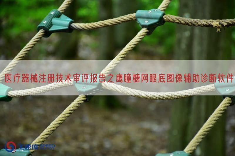 医疗器械注册技术审评报告之鹰瞳糖网眼底图像辅助诊断软件