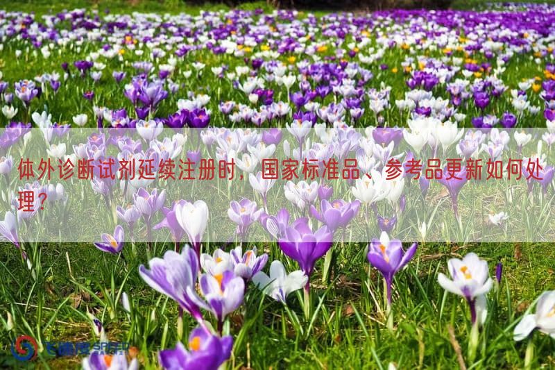 体外诊断试剂延续注册时，国家标准品、参考品更新如何处理？