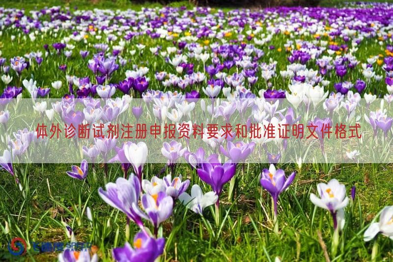 体外诊断试剂注册申报资料要求与批准证明文件格式