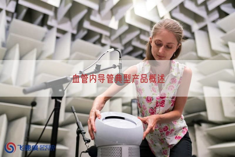 血管内导管典型产品概述
