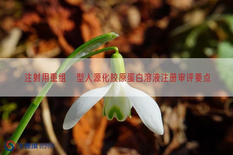 注射用重组Ⅲ型人源化胶原蛋白溶液注册审评要点