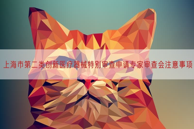 上海市第二类创新医疗器械特别审查申请专家审查会注意事项