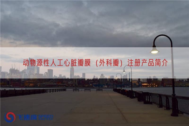 动物源性人工心脏瓣膜（外科瓣）注册产品简介