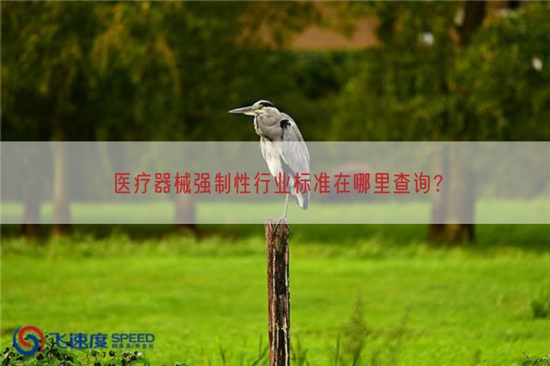 医疗器械强制性行业标准在哪里查询？