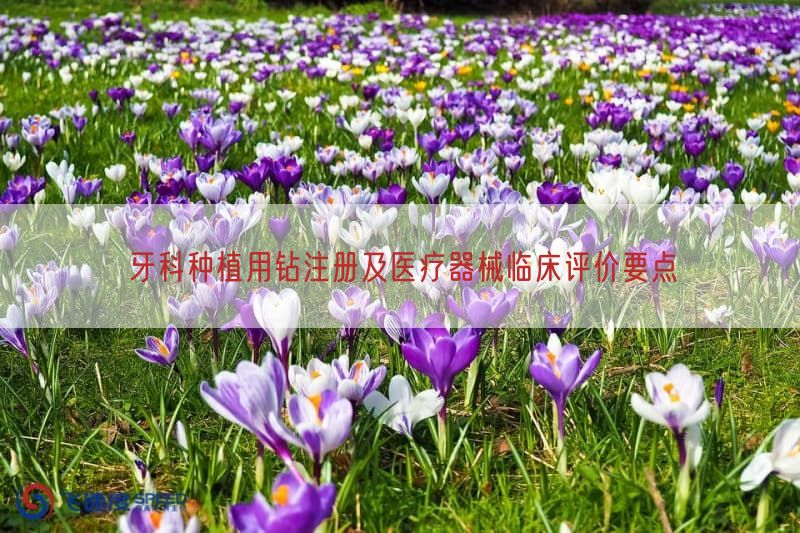 牙科种植用钻注册及医疗器械临床评价要点