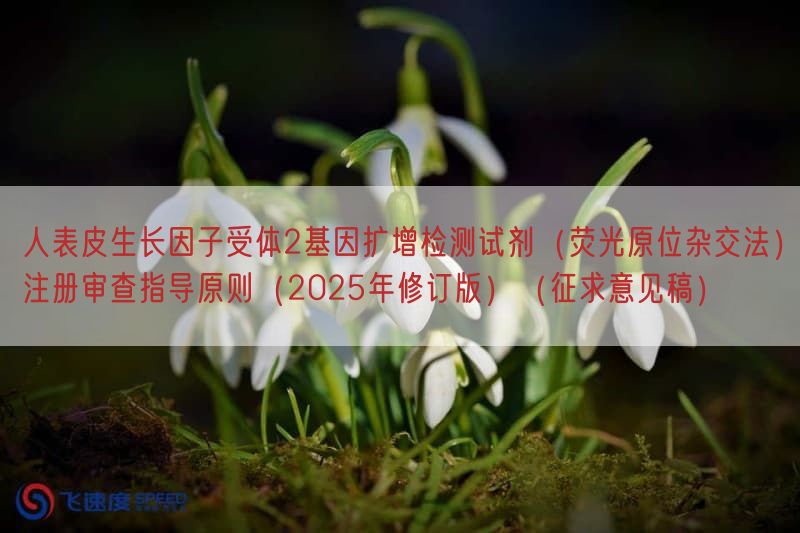 人表皮生长因子受体2基因扩增检测试剂（荧光原位杂交法）注册审查指导原则（2025