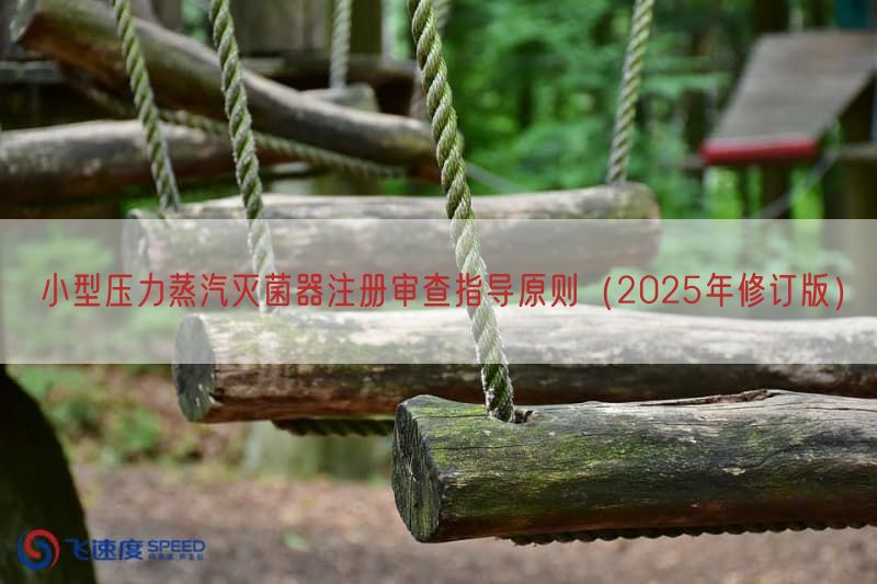 小型压力蒸汽灭菌器注册审查指导原则（2025年修订版）