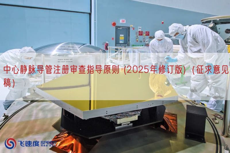中心静脉导管注册审查指导原则 (2025年修订版)（征求意见稿）