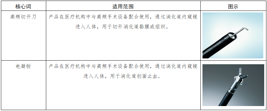软性内窥镜用高频手术器械注册审查指导原则