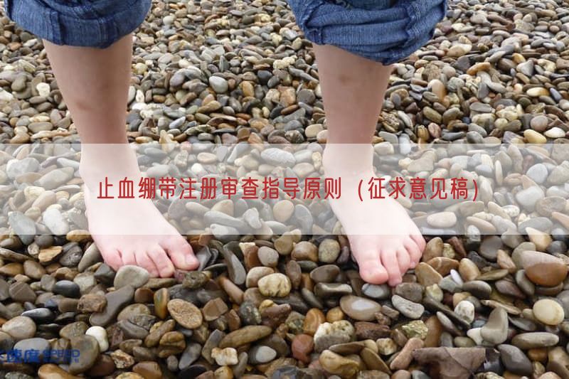 止血绷带注册审查指导原则（征求意见稿）
