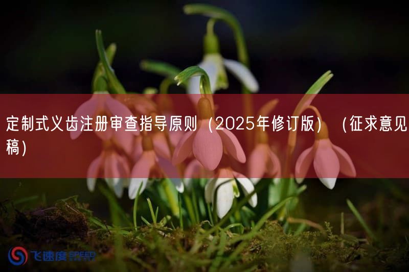定制式义齿注册审查指导原则（2025年修订版）（征求意见稿）
