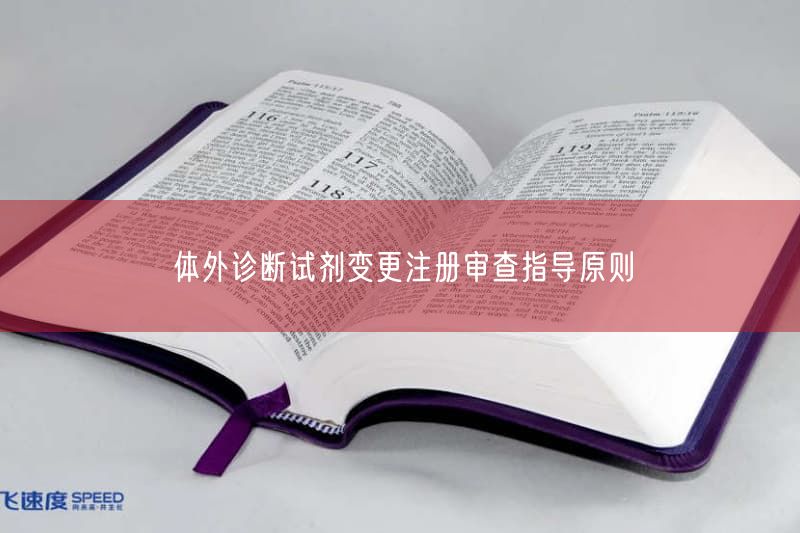 体外诊断试剂变更注册审查指导原则