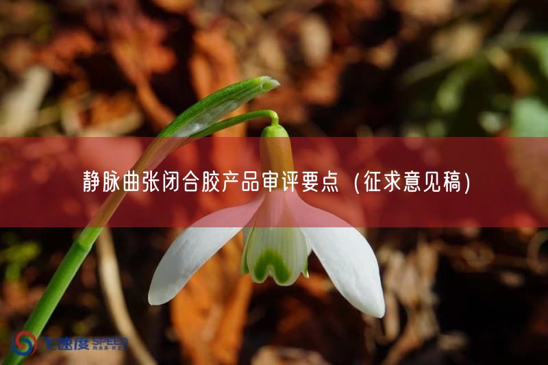 静脉曲张闭合胶产品审评要点（征求意见稿）