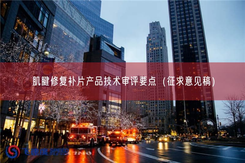肌腱修复补片产品技术审评要点（征求意见稿）