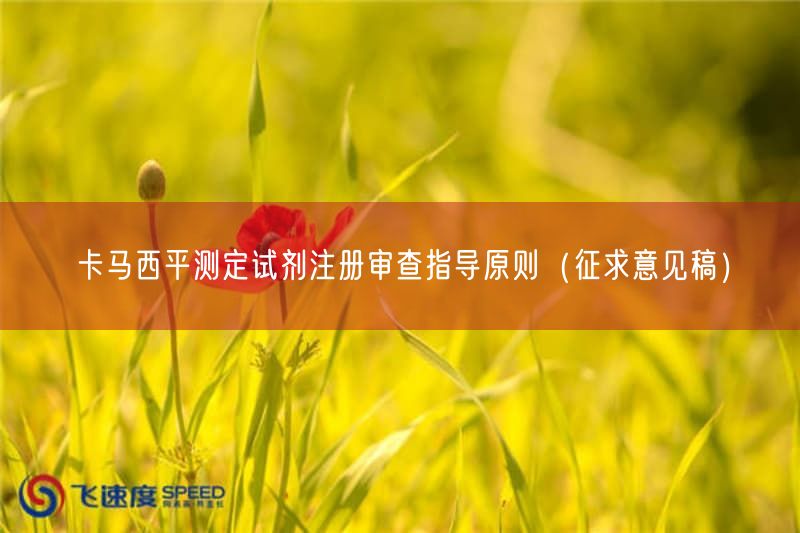 卡马西平测定试剂注册审查指导原则（征求意见稿）