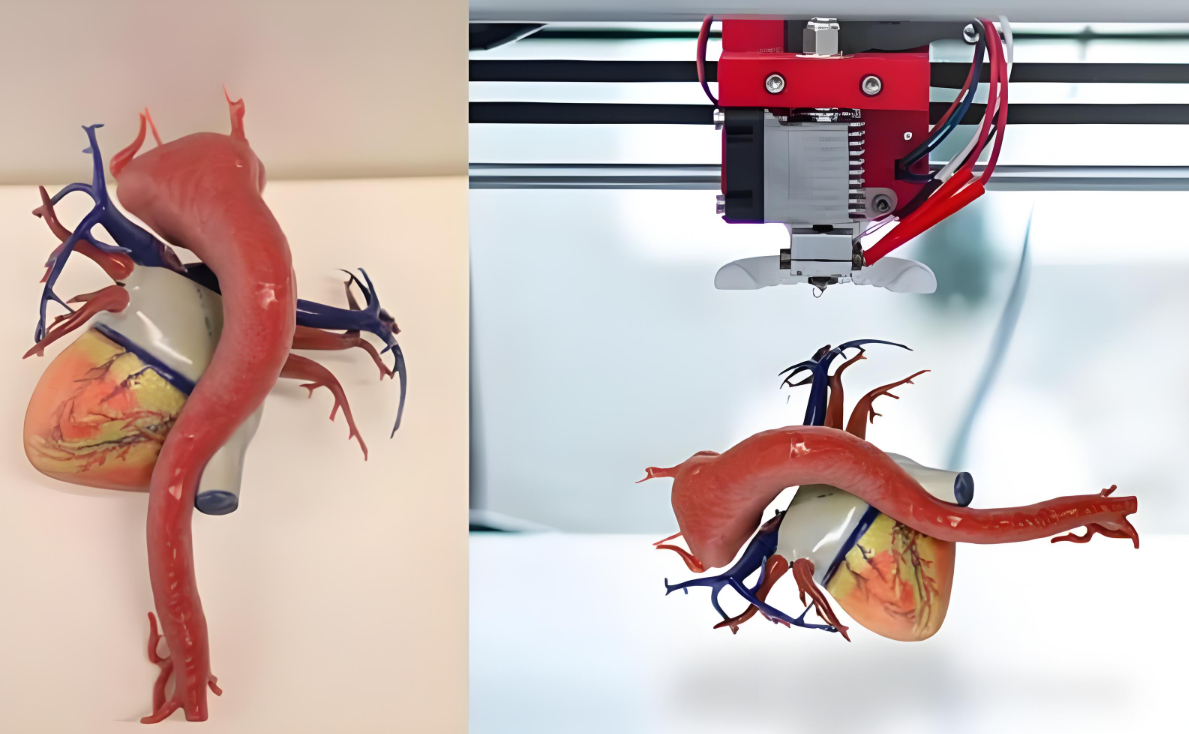 生物3D打印价格立项!组织器官可以银行卡按需定制银行卡加速再生医学与