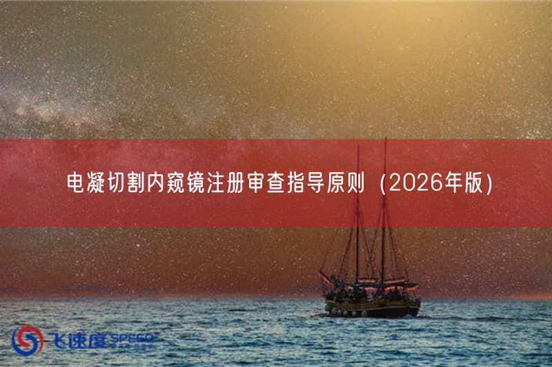 电凝切割内窥镜注册审查指导原则（2026年版）