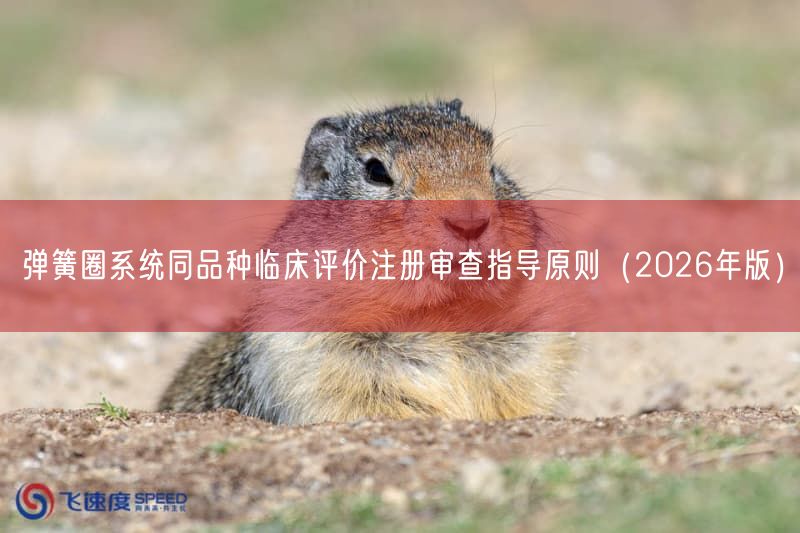 弹簧圈系统同品种临床评价注册审查指导原则（2026年版）