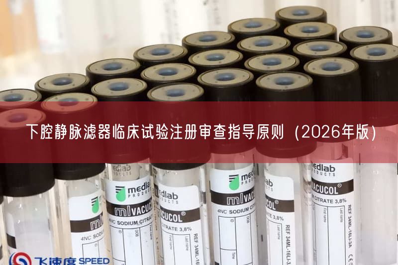 下腔静脉滤器临床试验注册审查指导原则（2026年版）