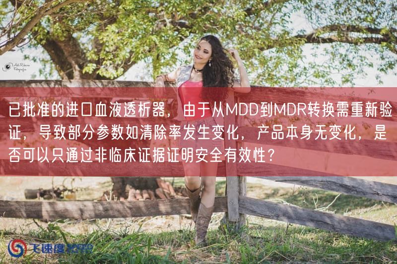 已批准的进口血液透析器，因为从MDD到MDR转换需重新验证，结果部分参数如清除率
