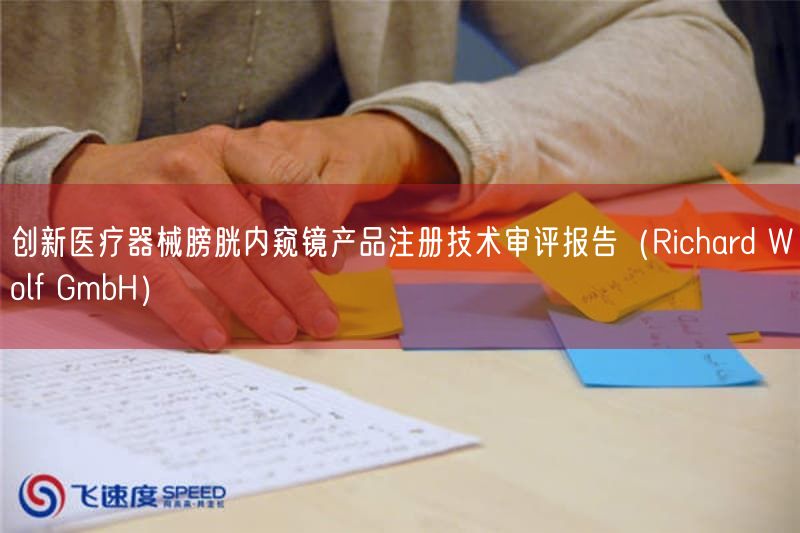 创新医疗器械膀胱内窥镜产品注册技术审评报告（Richard Wolf GmbH）