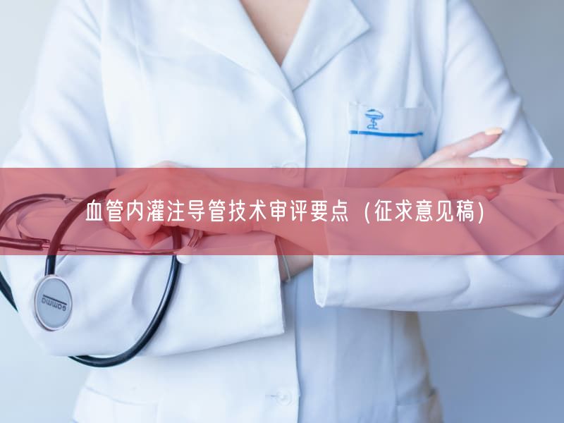 血管内灌注导管技术审评要点（征求意见稿）