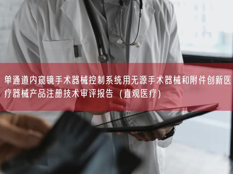单通道内窥镜手术器械控制系统用无源手术器械与附件创新医疗器械产品注册技术审评报告