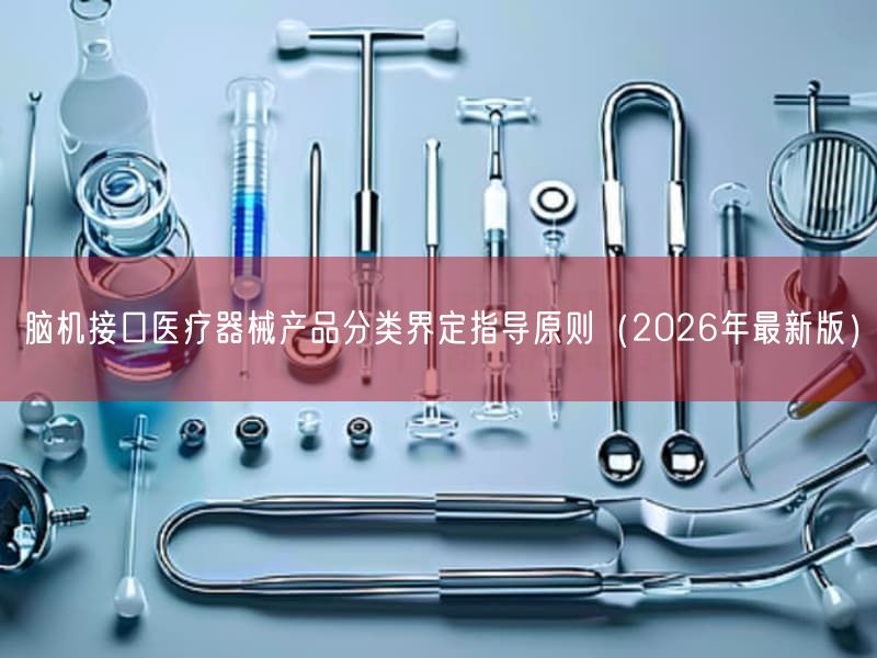 脑机接口医疗器械产品分类界定指导原则（2026年最新版）