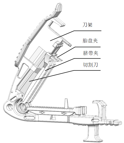 一次性使用脐带剪注册审查指导原则（2026年最新版）