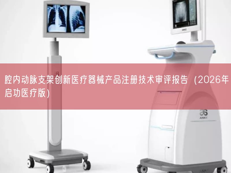 腔内动脉支架创新医疗器械产品注册技术审评报告（2026年启功医疗版）