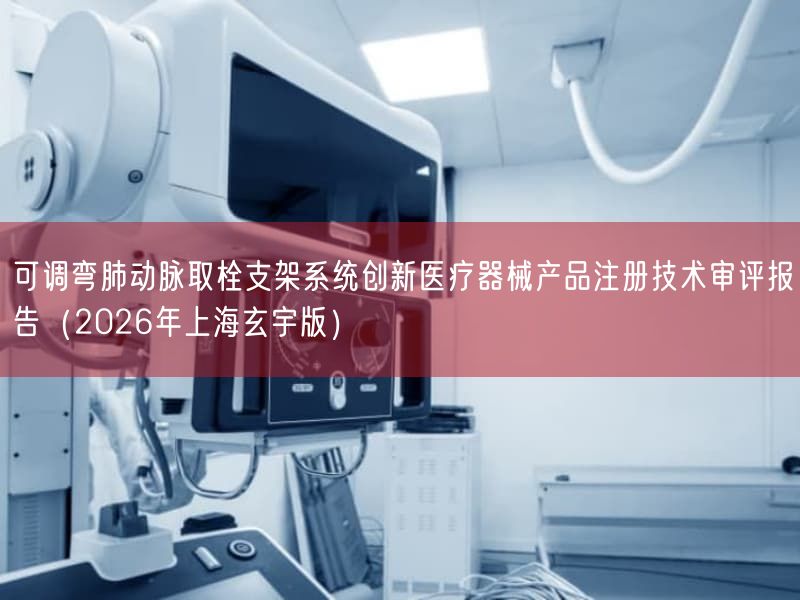 可调弯肺动脉取栓支架系统创新医疗器械产品注册技术审评报告（2026年上海玄宇版）