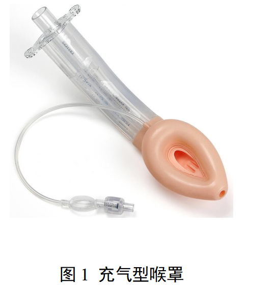一次性使用医用喉罩注册审查指导原则（2025年修订版）（征求意见稿）
